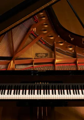 Акустические и цифровые фортепиано - Музыкальные инструменты - Продукты -  Yamaha - Россия