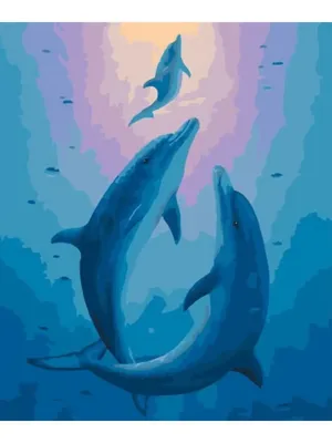 Дельфины под водой стоковое фото ©vitaliy_sokol 51226231