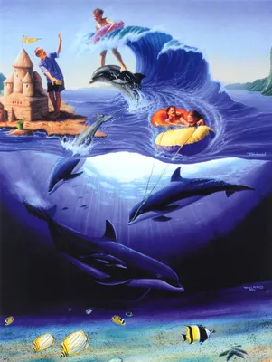 Три Дельфинов Возле Бассейн С Голубой Водой — стоковые фотографии и другие  картинки Дельфин - Дельфин, Аквариум, Бассейн - iStock