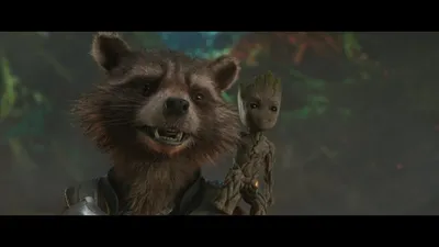 Обои на рабочий стол Разъяренный енот из кинофильма Стражи Галактики /  Guardians of the Galaxy в злобе открыл зубастую пасть, обои для рабочего  стола, скачать обои, обои бесплатно