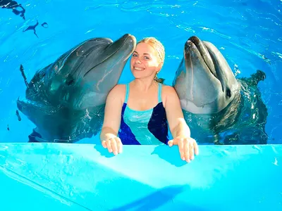 Фото с дельфинами в воде фотографии