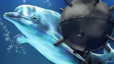 Картинка Дельфины под водой » Дельфины » Животные » Картинки 24 - скачать  картинки бесплатно