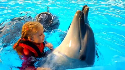 Ташкентский дельфинарий НЕМО (@dolphinarium_nemo_tashkent) • Instagram  photos and videos