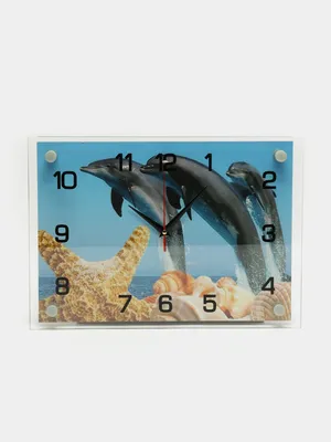 Купить H173 Набор для рисования по номерам 'Приветливые дельфины' 40*50см,  цена, фото, описание - в Санкт-Петербурге в интернет-магазине Искусница