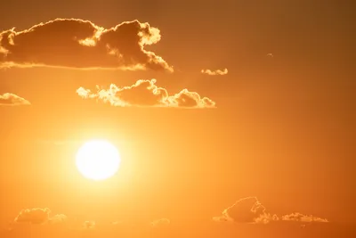Фотодерматит: как понять, что у вас аллергия на солнце — Feme.ua