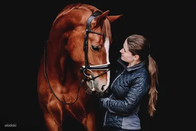 White Stable - 📸 Летняя фотосессия с лошадьми — отличный... | Facebook