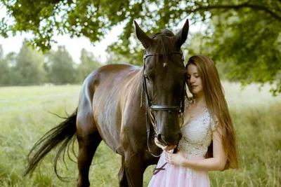 фотосессия с лошадью. Зимняя фотосессия. Winter Photosession. | Horse  photos, Horse girl, Winter horse