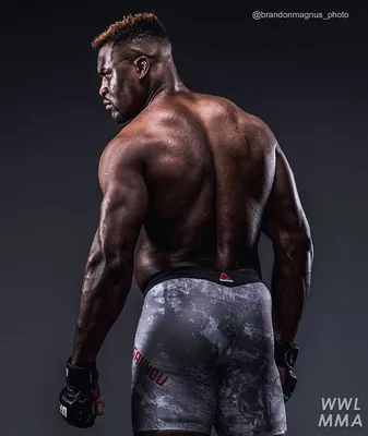 WHYWELOVEMMA в Instagram: «Джо Роган говорит, что Фрэнсис Нганну очень скоро может перейти в бокс: ⠀ 💬 «У него [Нганну] осталось несколько боев в его UFC… | Чудо Пахлавана»