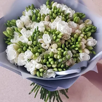 51 белая фрезия за 8 890 руб. | Бесплатная доставка цветов по Москве