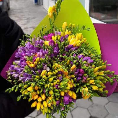 151 разноцветная фрезия в букете | Бесплатная доставка цветов по Москве
