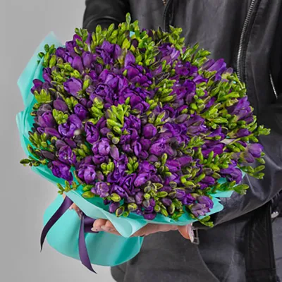 101 фиолетовая фрезия в букете | Бесплатная доставка цветов по Москве
