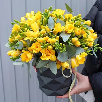 51 желтая фрезия в коробке | Бесплатная доставка цветов по Москве
