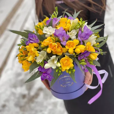 51 желто-фиолетовая фрезия в коробке | Бесплатная доставка цветов по Москве