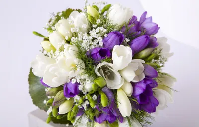 Обои букет, белая, фиолетовая, фрезия, Bouquets, Freesia картинки на  рабочий стол, раздел цветы - скачать