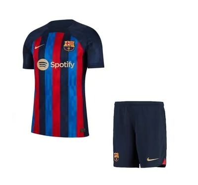 ≡ Футболка Барселона Nike FCB MNK DF STAD JSY SS HM CV7891-428 | купить в  Москве, Санкт-Петербурге, России - Интернет-магазин футбольной атрибутики  Fanmagazin.ru