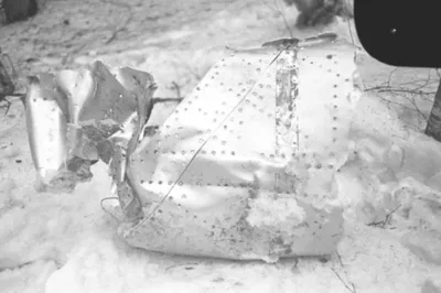 Впервые опубликовано фото с места авиакатастрофы, в которой погиб Гагарин |  Общество | Аргументы и Факты