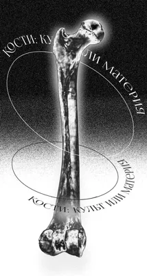 Calaméo - Кости: Культ или Материя
