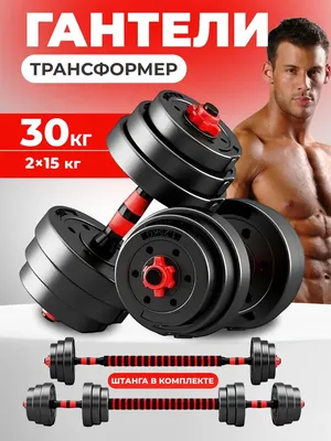 Гантели разборные и штанга 30 кг FitnessLive 16264349 купить за 3 797 ₽ в  интернет-магазине Wildberries