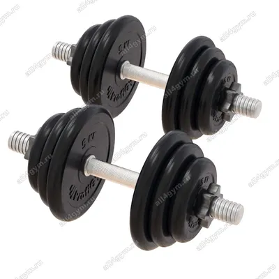 Гантели 4 кг DFC POWERGYM 2 шт. купить за 2 990 Р. в интернет магазине  WildSportProf.ru