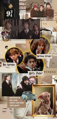 Wallpaper Harry Potter | Приколы гарри поттер, Обои гарри поттер, Хогвартс