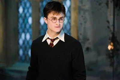 В чем секрет популярности Гарри Поттера 7 августа 2020 года | Нижегородская  правда