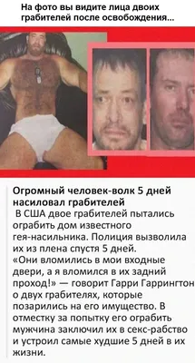 Волк в образе Гарри поттера, в …» — создано в Шедевруме