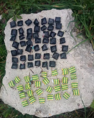 Кокаин, гашиш и галюциногенные грибы: сочинские полицейские нашли у  приезжего более 1,5 кг наркотиков - Новости Сочи