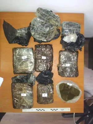 В Ошской области у члена ОПГ нашли более 2 кг героина, гашиш и марихуану  (фото) - Вести.kg - Новости Кыргызстана