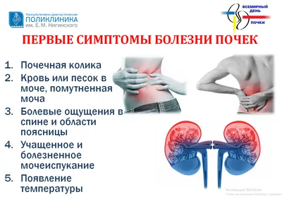 14 марта Всемирный день почки - Новости поликлиники