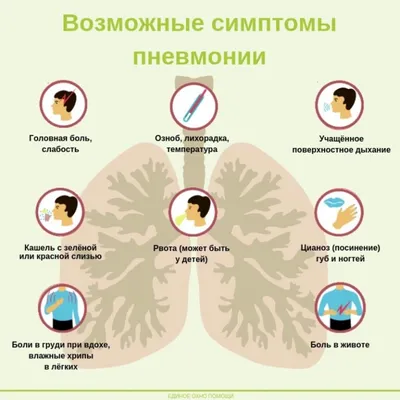 Пневмония - ГБУЗ СО «Новокуйбышевская центральная городская больница»