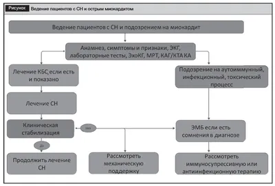 Острая сердечная недостаточность и инфаркт? В чём разница? | Анна Кореневич  | Врач-кардиолог | Клинический психолог | Дзен