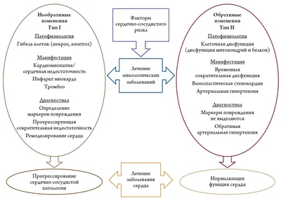 admin, Автор в Alfabiom