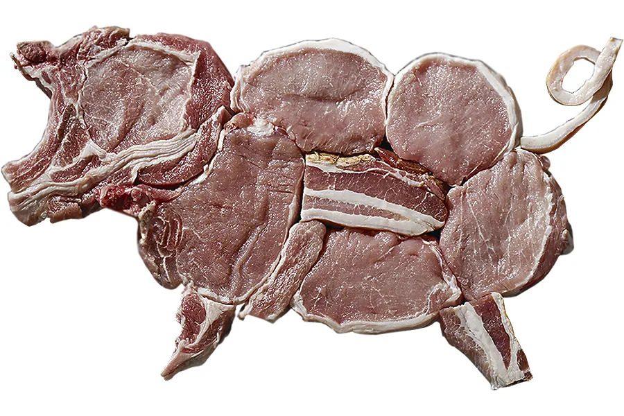Купить свинину живым весам. Маленькие свиньи на мясо.
