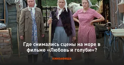 Сучка крашена», или Как снимали «Любовь и голуби»