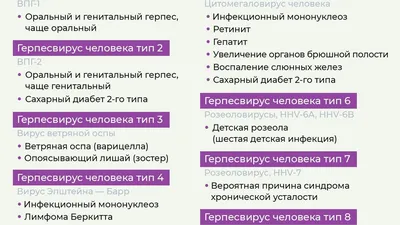 До диабета доведет. Загадочный вирус, который заражает почти всех - РИА  Новости, 24.05.2022