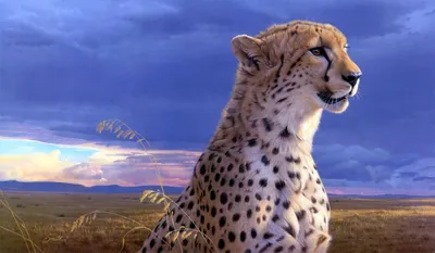 Cheetah Wallpaper 4K, cub, AI art