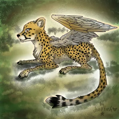 Cheetah with wings/Гепард с крыльями | Гепард, Животные, Рисунки