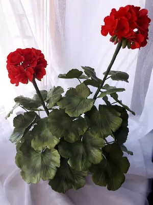 Герань из фоамирана – заказать на Ярмарке Мастеров – GN04XRU | Цветы,  Ульяновск
