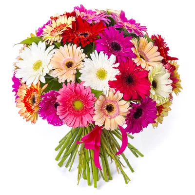 Букет из 31 разноцветной герберы - купить в Москве по цене 5790 р - Magic  Flower