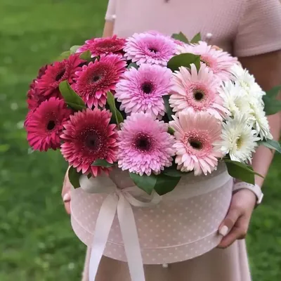Герберы в коробке | Заказать в Москве цветы с бесплатной доставкой