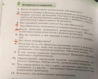 вектор отпечатков пальцев, окрашенный флагом гордости гермафродиты,  изолирован на белом фоне вектор Иллюстрация вектора - иллюстрации  насчитывающей иллюстрация, женщина: 216540653