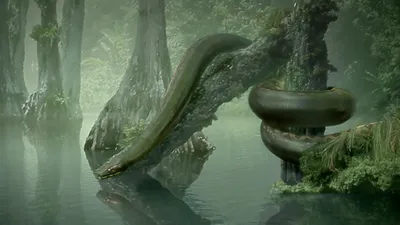 В Киевском зоопарке поселятся гигантские змеи | НашКиїв.UA