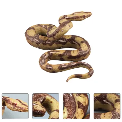 Своего рода гигантской змеи Стоковое Изображение - изображение  насчитывающей амбивалентности, ангстрома: 186587789