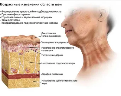 Всё о применении корейских тейпов для лица