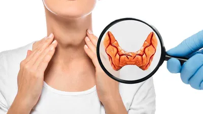 Гипотиреоз щитовидной железы: причины, симптомы, лечение