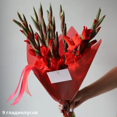 Букет из красных и бордовых гладиолусов - заказать доставку цветов в Москве  от Leto Flowers