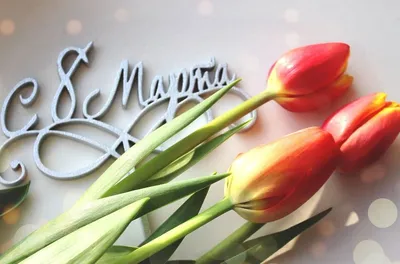 Дорогие, прекрасные, милые дамы, поздравляем вас с праздником 8 марта! |  Алькона