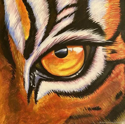Глаз тигра фото