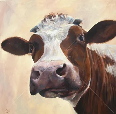 Молоко из Горбёнок - Интересное о коровах 🐄🐄🐄 🐮Зрение коровы и человека  кардинально отличается, несмотря на то, что имеет сходную структуру. Коровы  видят цвета, однако различают их очень слабо, не четко, поэтому