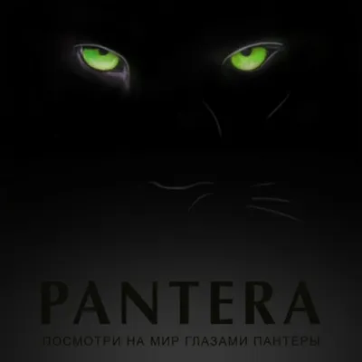 Нереально красивая черная пантера …» — создано в Шедевруме